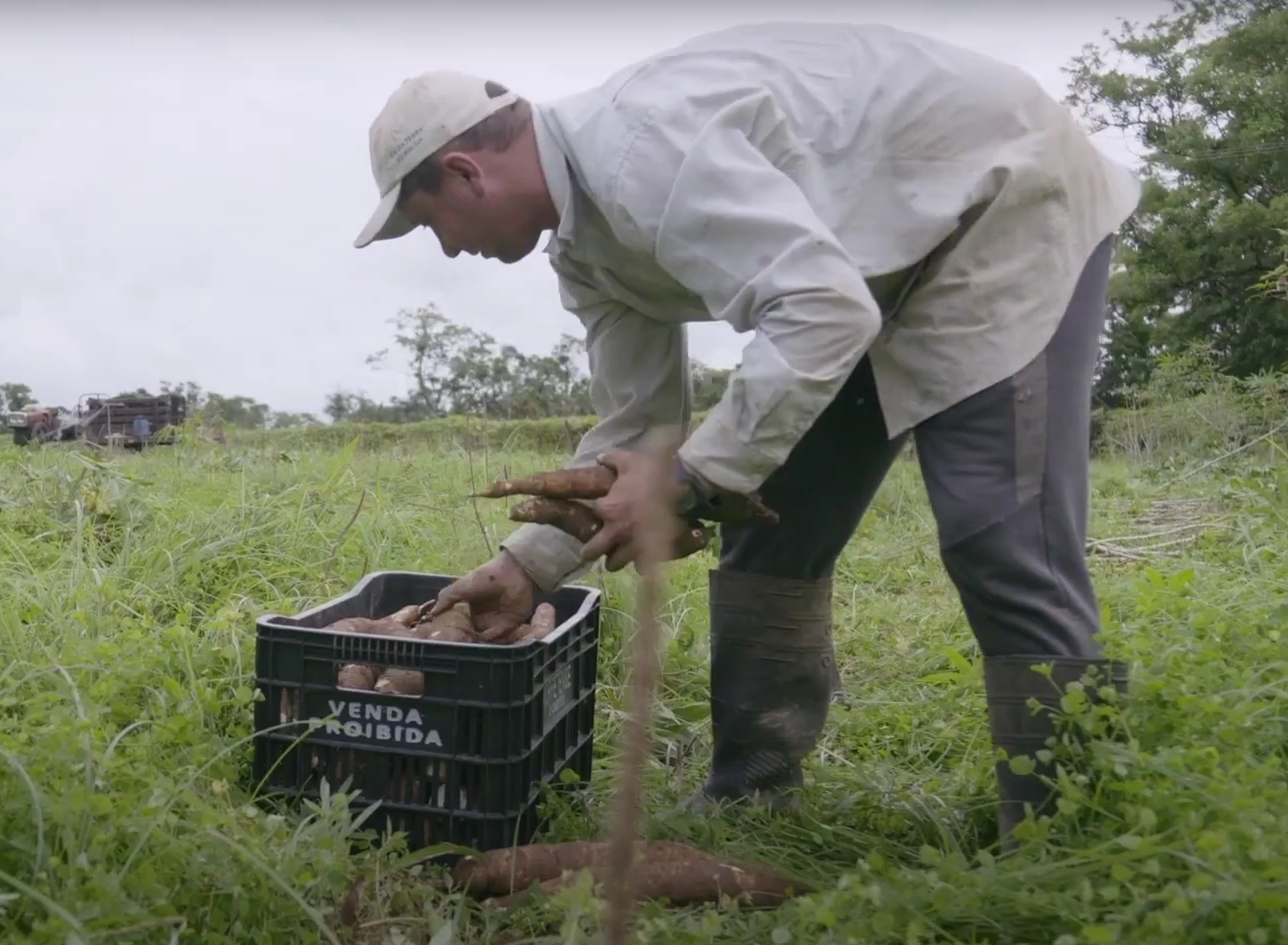 Relevância da agricultura familiar e politicas publicas que à promovem